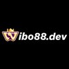 Avatar of Wibo88 dev