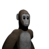 Avatar of INTERSTELLER