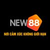 Avatar of new88cab