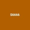 Avatar of S66 NETWORK