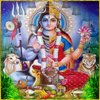 Avatar of ShivaArts