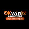 Avatar of okwintvorg