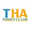 Avatar of thabet12com