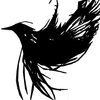Avatar of theblackbirdcalls