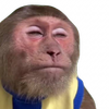 Avatar of Pandasmyth