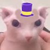 Avatar of robloxanimatorreal