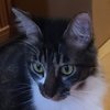 Avatar of s519325
