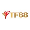 Avatar of tf88casinocom