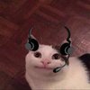 Avatar of CallCat