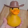 Avatar of pierre_roger