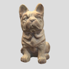 Avatar of bobmodel2