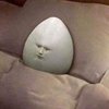 Avatar of user854321