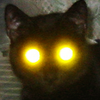 Avatar of Byron1c