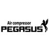 Avatar of Máy nén khí pegasus