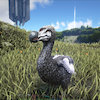 Avatar of DodoAllosarusRex