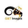 Avatar of G&T IMAGES