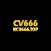 Avatar of ncv666top