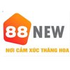 Avatar of new8855cancriio