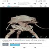 Avatar of dangvifjdjejdhshshhshdbzvzgdhHrnfhd