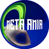 Avatar of Meta Amir