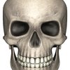 Avatar of Jaydonny