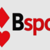 Avatar of BSPORT