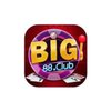Avatar of big88city
