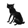 Avatar of kekelin