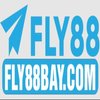 Avatar of Fly88baycom