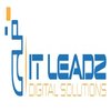 Avatar of IT Leadz