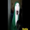 Avatar of Doc