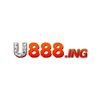 Avatar of U888