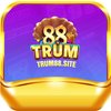 Avatar of Trum88site