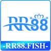 Avatar of rr88fish
