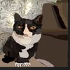 Avatar of liamrc2015