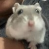 Avatar of exoticgt