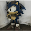 Avatar of SONIC_ADVENTURE