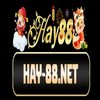 Avatar of hay88net1
