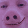 Avatar of The Guy in Server