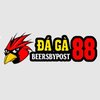 Avatar of DAGA88 ĐÁ GÀ 88 TRỰC TIẾP ĐÁ GÀ THOMO HÔM NAY