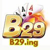 Avatar of B29