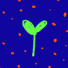 Avatar of siestaisfiesta