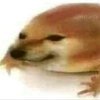 Avatar of USUARI8