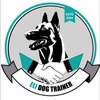 Avatar of Eli Dog Trainer