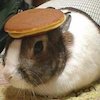 Avatar of Pancake_Hat
