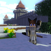 Avatar of ShastaGaming16
