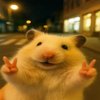 Avatar of phwnhzii25