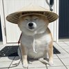 Avatar of hereiszero45