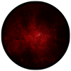 Avatar of SolsSpace