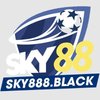 Avatar of sky888blackk